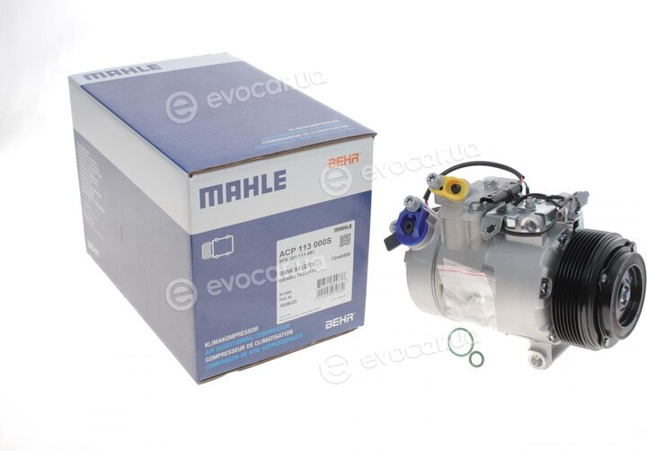 Mahle ACP 113 000S