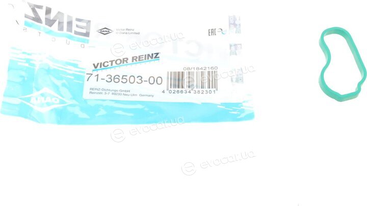 Victor Reinz 71-36503-00