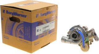 BorgWarner 53039880023