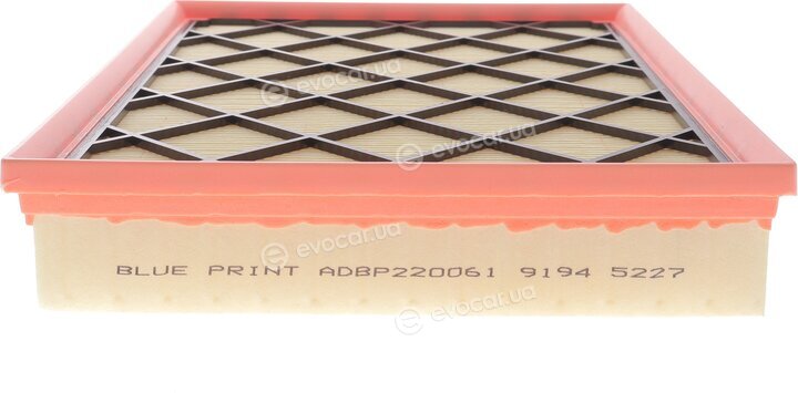 Blue Print ADBP220061