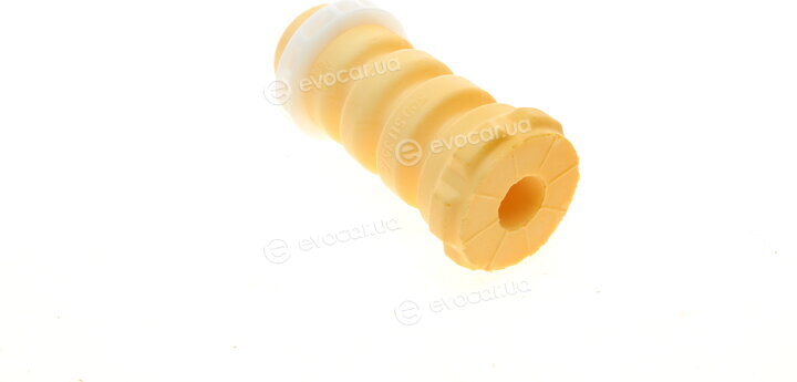 Borsehung B10013