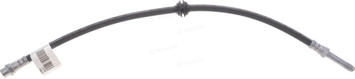 Solgy 210004