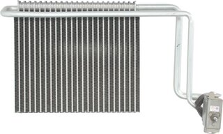 Mahle AE 107 000P