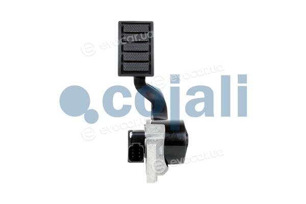 Cojali 2260503