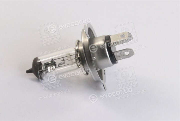 Bosch 1 987 302 441