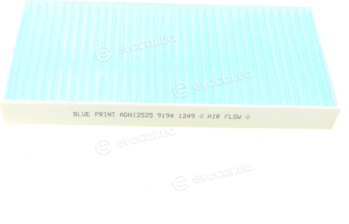 Blue Print ADN12525