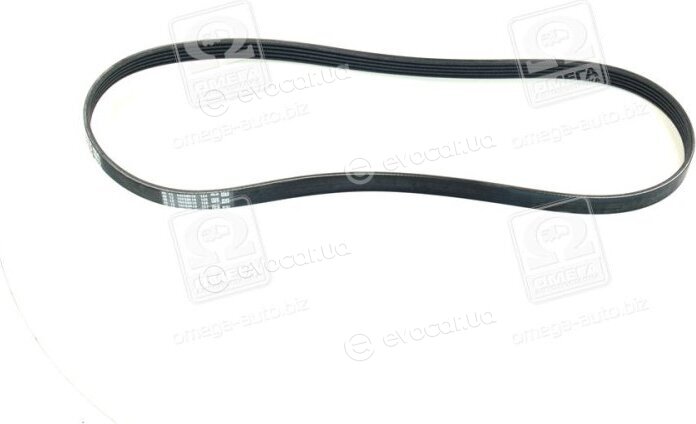 Continental 5PK1070