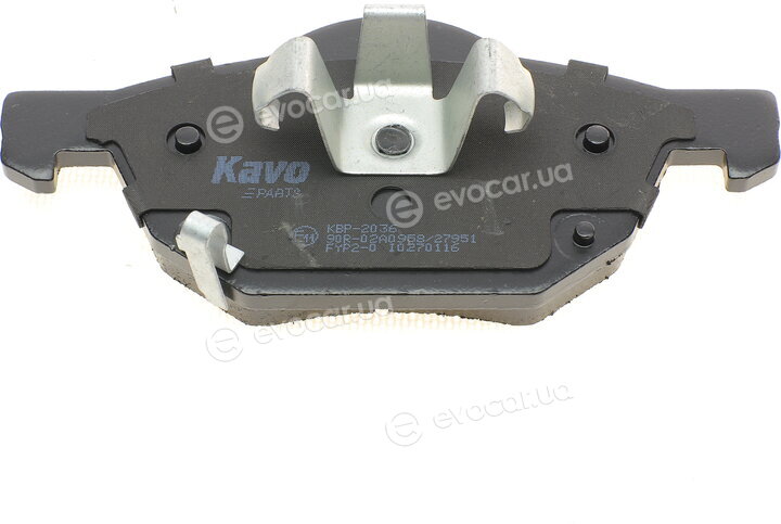 Kavo KBP-2036