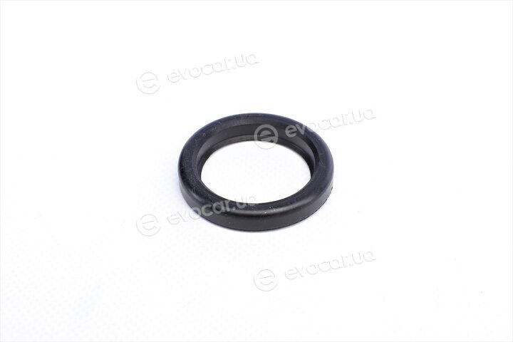 Elring 310.920