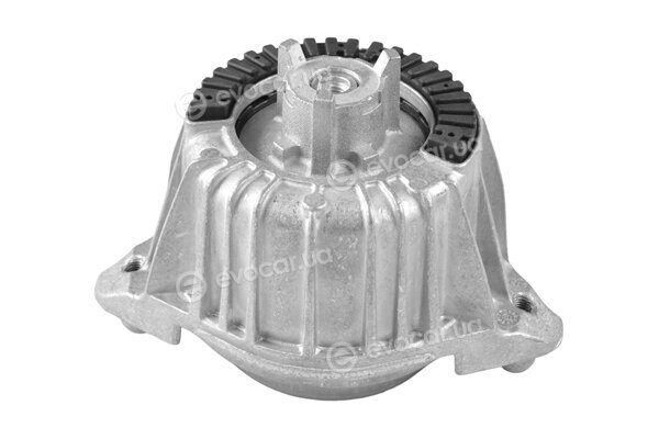 Tedgum TED83830