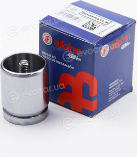 Autofren D025441LK