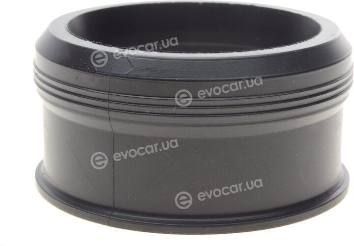 Elring 519.300