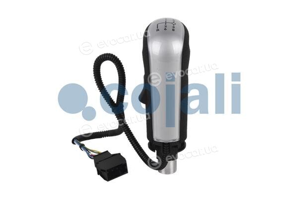 Cojali 2880187
