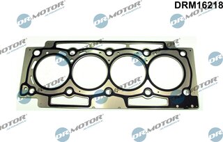Dr. Motor DRM16218