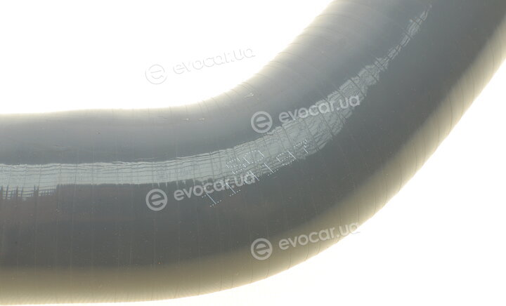 Solgy 114197