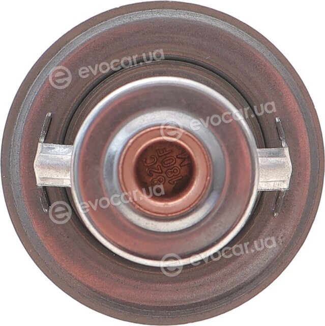 Motorad 2065-82K