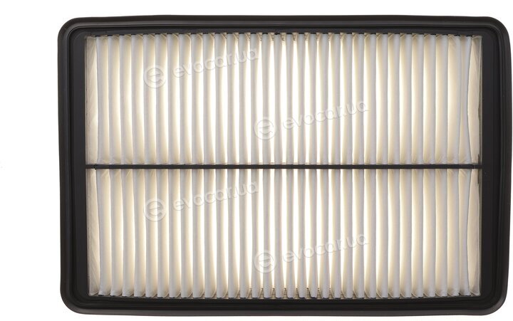 Solgy 103182