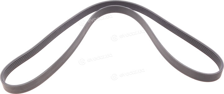 Continental 6PK1453