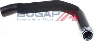 Bogap C4228159