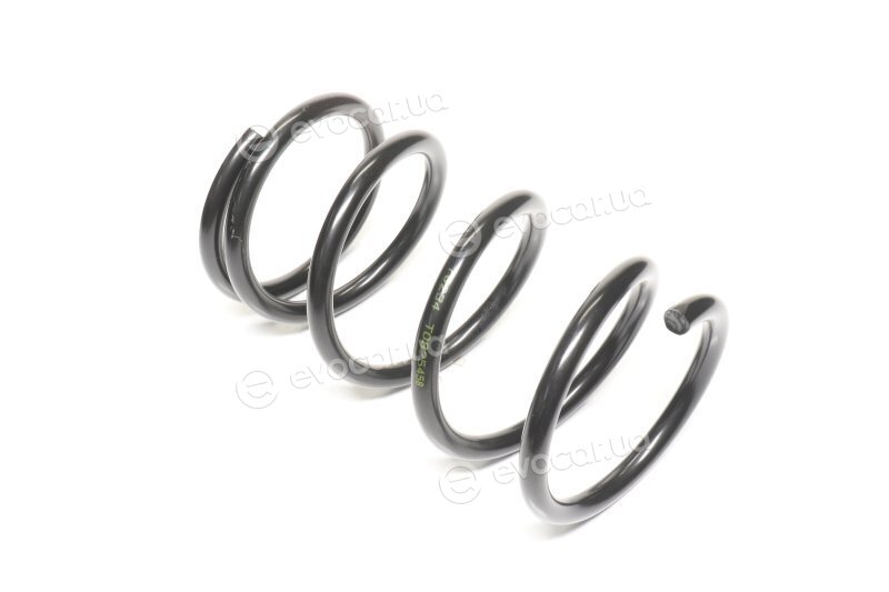 Lesjofors 4292614