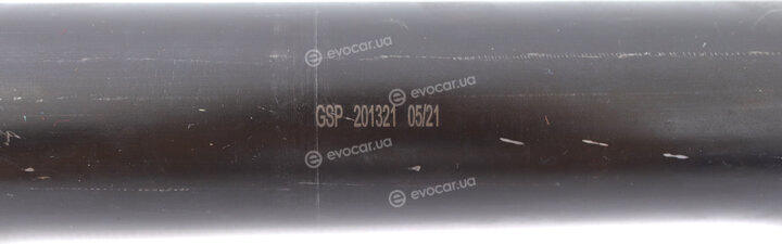 GSP 201321