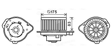 Ava Quality VO8174