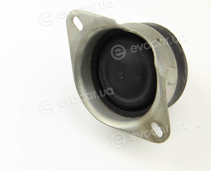 Rapro R52172