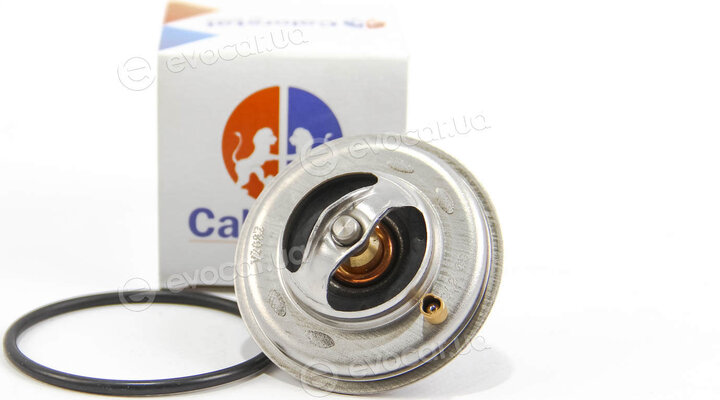 Vernet / Calorstat TH5973.87J