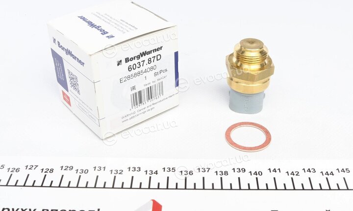 Wahler / BorgWarner 6037.87D