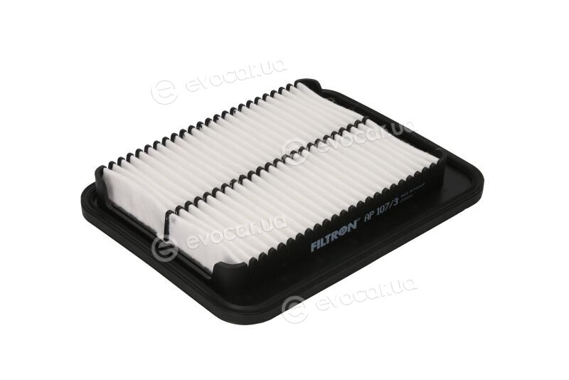 Filtron AP 107/3