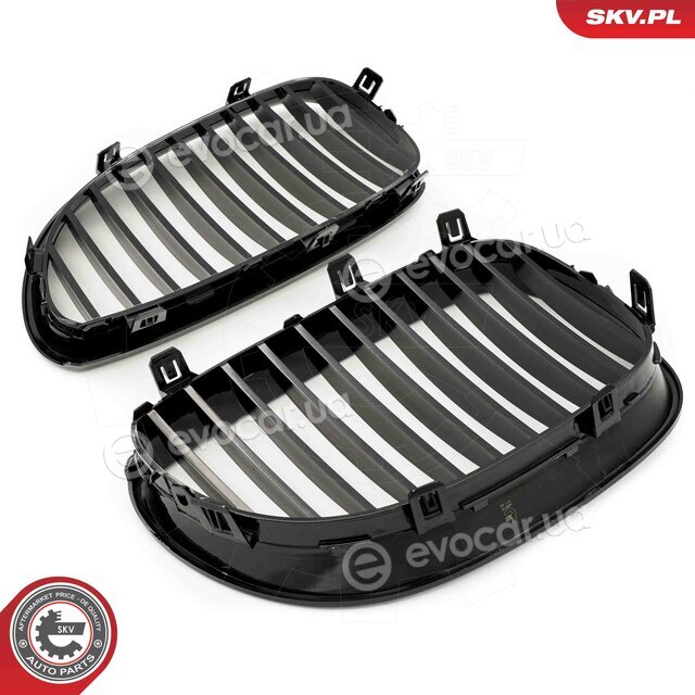 SKV 66SKV165