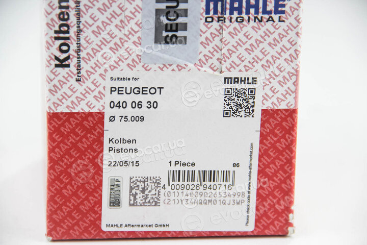 Mahle 040 06 30