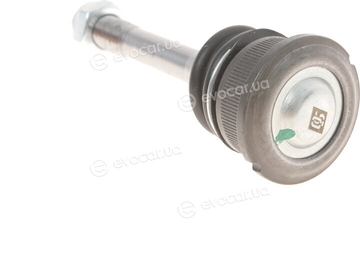 Solgy 203079