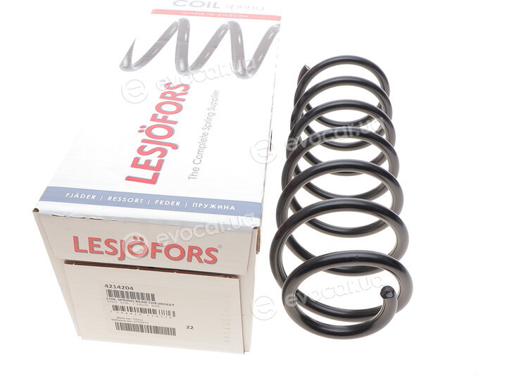 Lesjofors 4214204