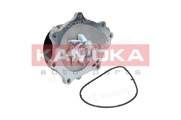 Kamoka T0176