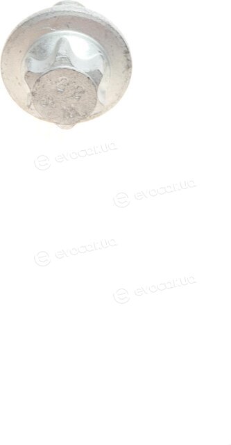 Solgy 108022
