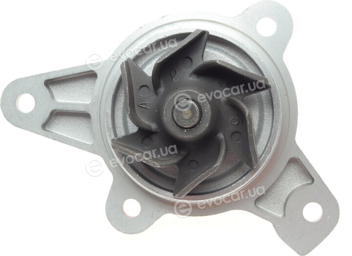 Hepu P586