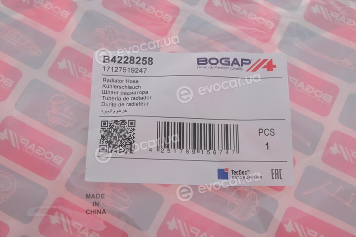 Bogap B4228258