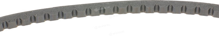 Continental AVX10X630