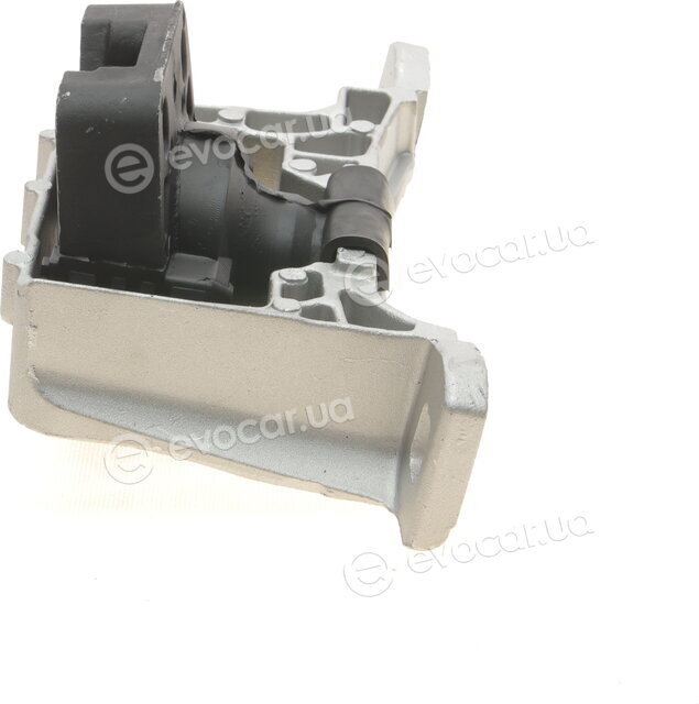 Delphi TEM096