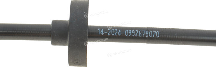 Solgy 219083