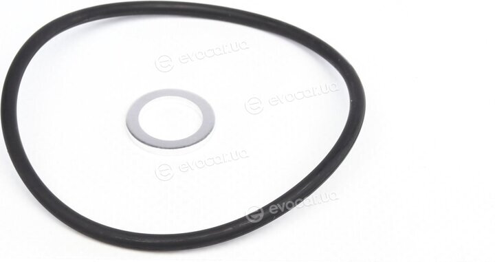 Mahle OX 417D