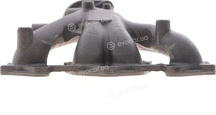 Rotweiss RWS4070