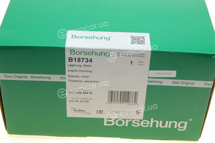 Borsehung B18734