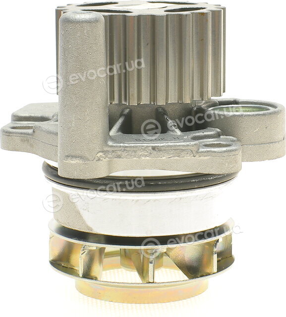 Hepu PK06621