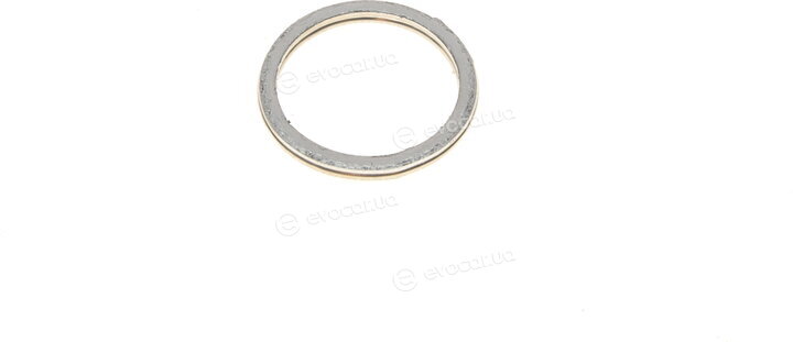 Elring 509.980