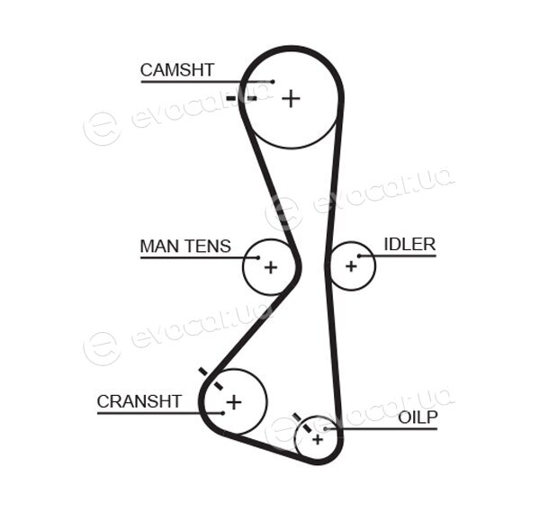 Gates K015609XS