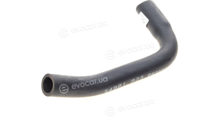 AIC 54981