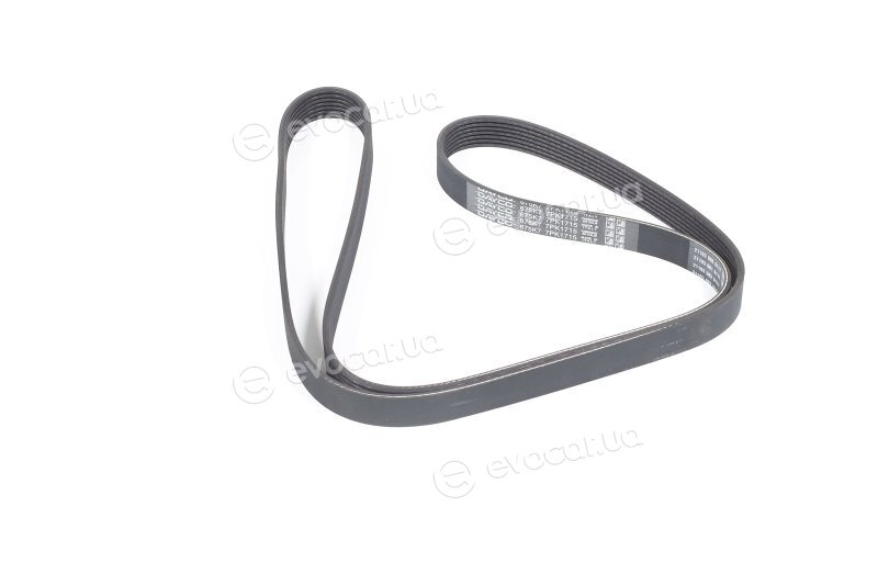 Dayco 7PK1715