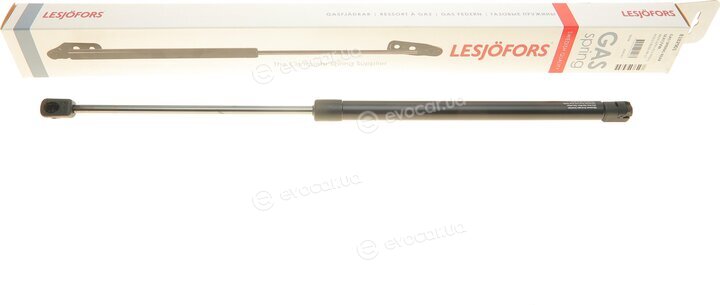 Lesjofors 8182901